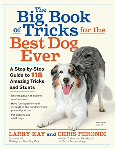 Dog Tricks and Stunts: Training with the Pros book cover
