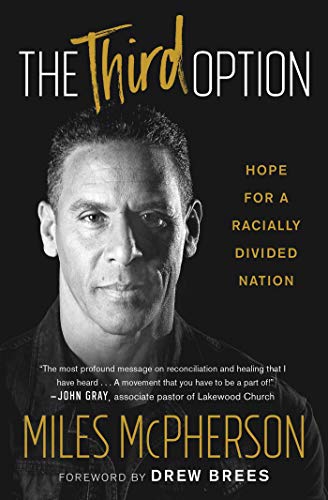 The Third Option: Hope for a Racially Divided Nation book cover