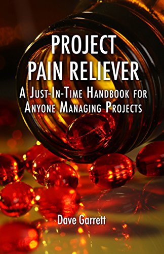 Project Pain Reliever: A Just-In-Time Handbook for Anyone Managing Projects book cover