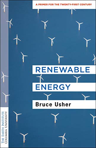 Renewable Energy: A Primer for the Twenty-First Century book cover