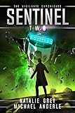 Sentinel (The Vigilante Chronicles Book 2)