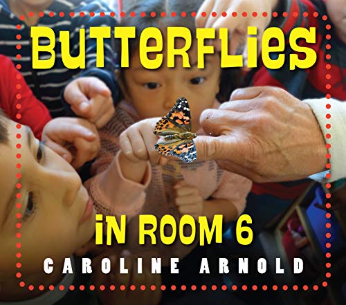 Butterflies in Room 6: See How They Grow book cover