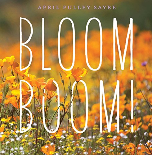 Bloom Boom! book cover