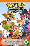 Pokémon Adventures: Diamond and Pearl/Platinum, Vol. 11