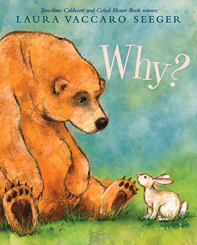 Why? book cover