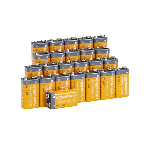 Amazon Basics - Paquete de 24 pilas alcalinas de 9 V, 9 V/6LR61, vida útil de 5 