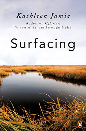 Surfacing book cover