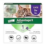 Advantage Ii Large Cat Vet Recommended Flea Treatment Preven