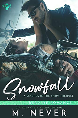 Snowfall (Baum Squad # 0.5) book cover