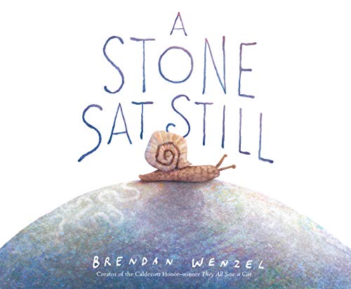 A Stone Sat Still book cover