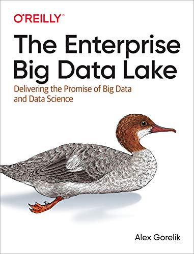 The Enterprise Big Data Lake: Delivering the Promise of Big Data and Data Science book cover