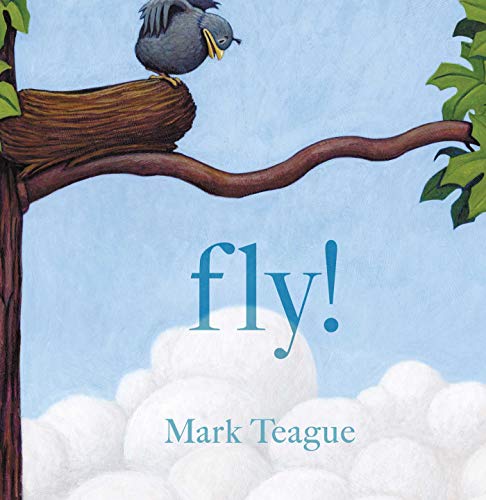 Fly! book cover