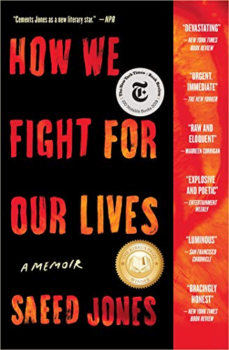 How We Fight For Our Lives book cover