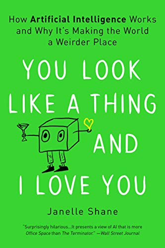 You Look Like a Thing and I Love You: How Artificial Intelligence Works and Why It's Making the World a Weirder Place book cover