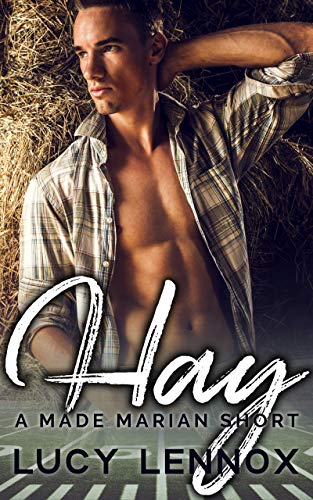 Hay (Made Marian, #8.5) book cover