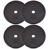 Yes4All 1 Inch Cast Iron Weight Plates For Dumbbells Standar