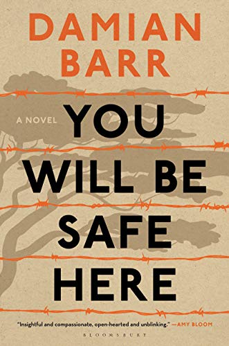 You Will Be Safe Here book cover