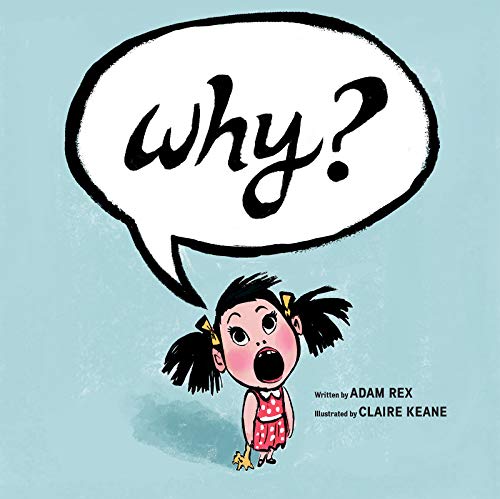 Why? book cover