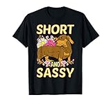Short And Sassy Cute Flower Dachshund Weiner Dog T Shirt