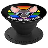 Chihuahua Dog Gay Pride Rainbow Flag Sunset Lgbt Pride Popso