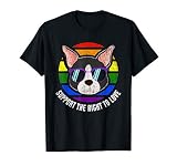 Boston Terrier Gay Rainbow Flag Sunset Lgbt Pride T Shirt