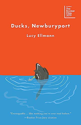 Ducks, Newburyport book cover