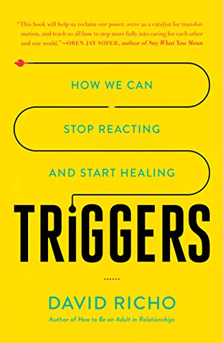Triggers: How We Can Stop Reacting and Start Healing book cover