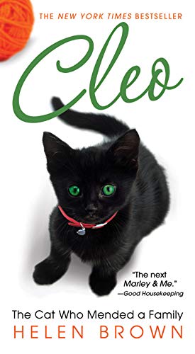 Cleo: How an Uppity Cat Helped Heal a Family book cover