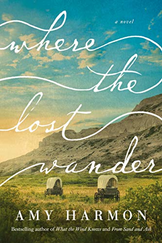 Where the Lost Wander: A Novel book cover