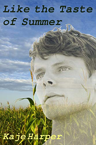 Like the Taste of Summer book cover