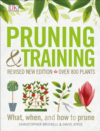 Pruning and Training, Revised New Edition: What, When, and How to Prune book cover