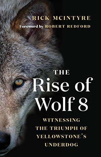 The Rise of Wolf 8: Witnessing the Triumph of Yellowstone's Underdog book cover