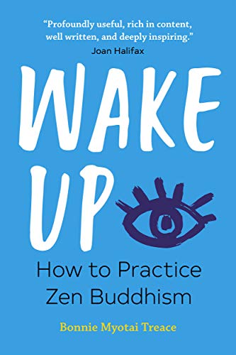 Wake Up: How to Practice Zen Buddhism book cover