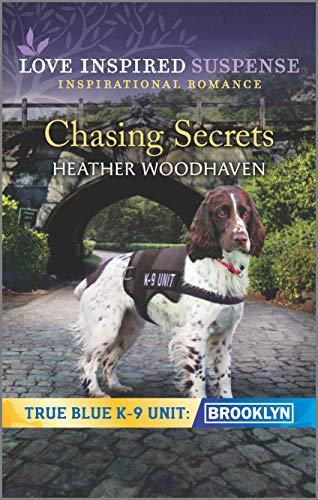 Chasing Secrets book cover