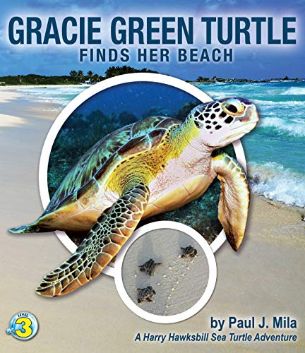 Gracie Green Turtle Finds Her Beach (Harry Hawksbill Sea Turtle Adventures) book cover