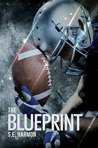 The Blueprint (Rules of Possession, #1) book cover