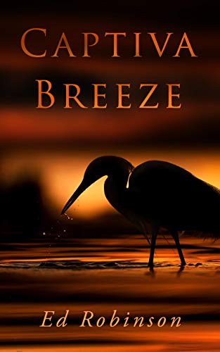 Captiva Breeze (Bluewater Breeze Book 3) book cover