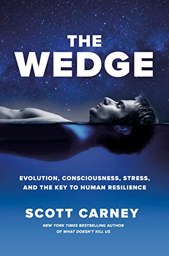 The Wedge: Evolution, Consciousness, Stress and the Key to Human Resilience book cover
