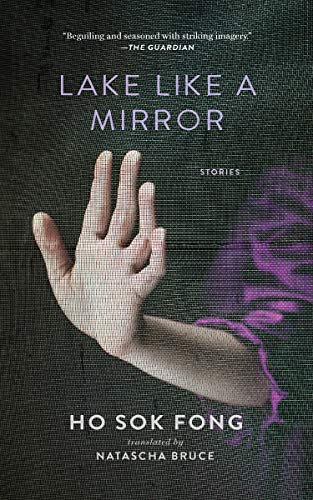 Lake Like a Mirror book cover