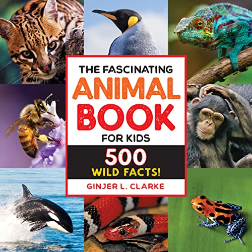 The Fascinating Animal Book for Kids: 500 Wild Facts! book cover