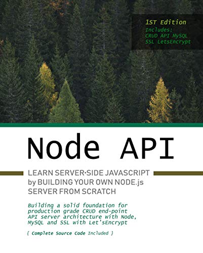 Node.js API: Learn server-side JavaScript by building your own Node.js server from scratch book cover