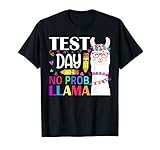 Test Day No Prob-llama Llama Teacher Testing Day Men Women Girls Kids T-Shirt