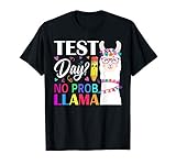 Test Day No Prob Llama Llama Teacher Testing Day Men Women G