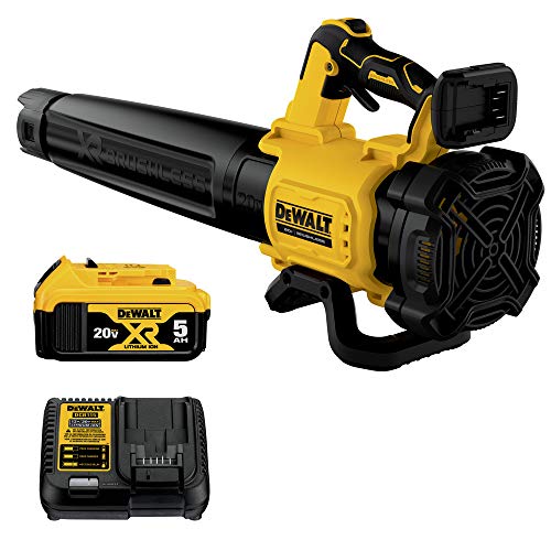 DEWALT 20V MAX XR DCBL722P1 Cordless Leaf Blower