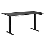 Shw 55 X 28 Inches Electric Height Adjustable Standing Desk