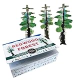 Copernicus Toys Crystal Growing Redwood Forest