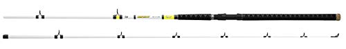 Daiwa Beef Kitty Catfish BFK1102MHRS