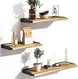 Bayka Floating Shelves (Set of 3)