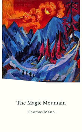 The Magic Mountain book cover