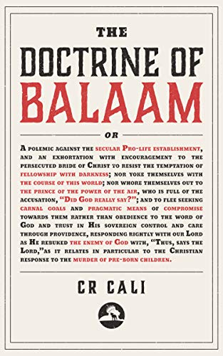 The Doctrine of Balaam book cover